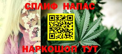 PSILOCYBIN Бугуруслан