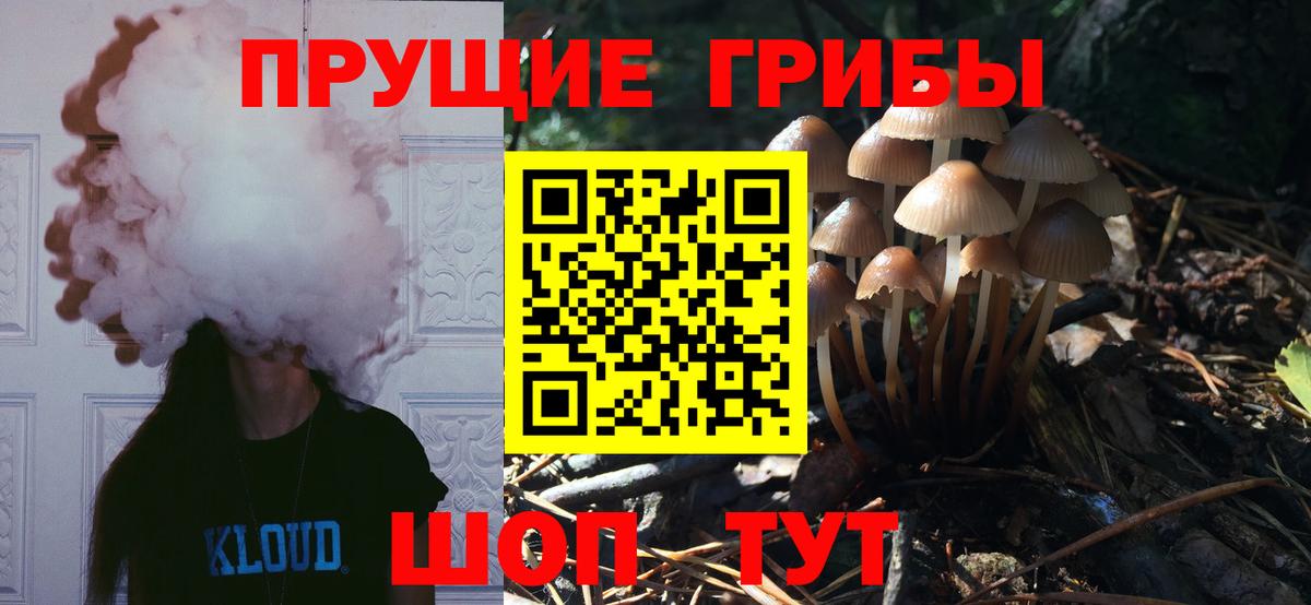 Галлюциногенные грибы прущие грибы  Вход с VPN  Осинники  Псилоцибиновые грибы ЛСД 